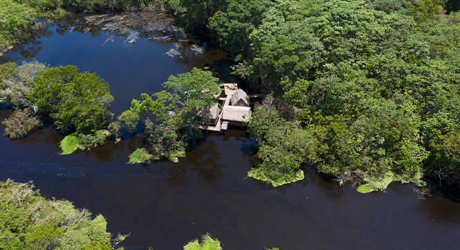 Rio Ucayali, Viaja a la Selva